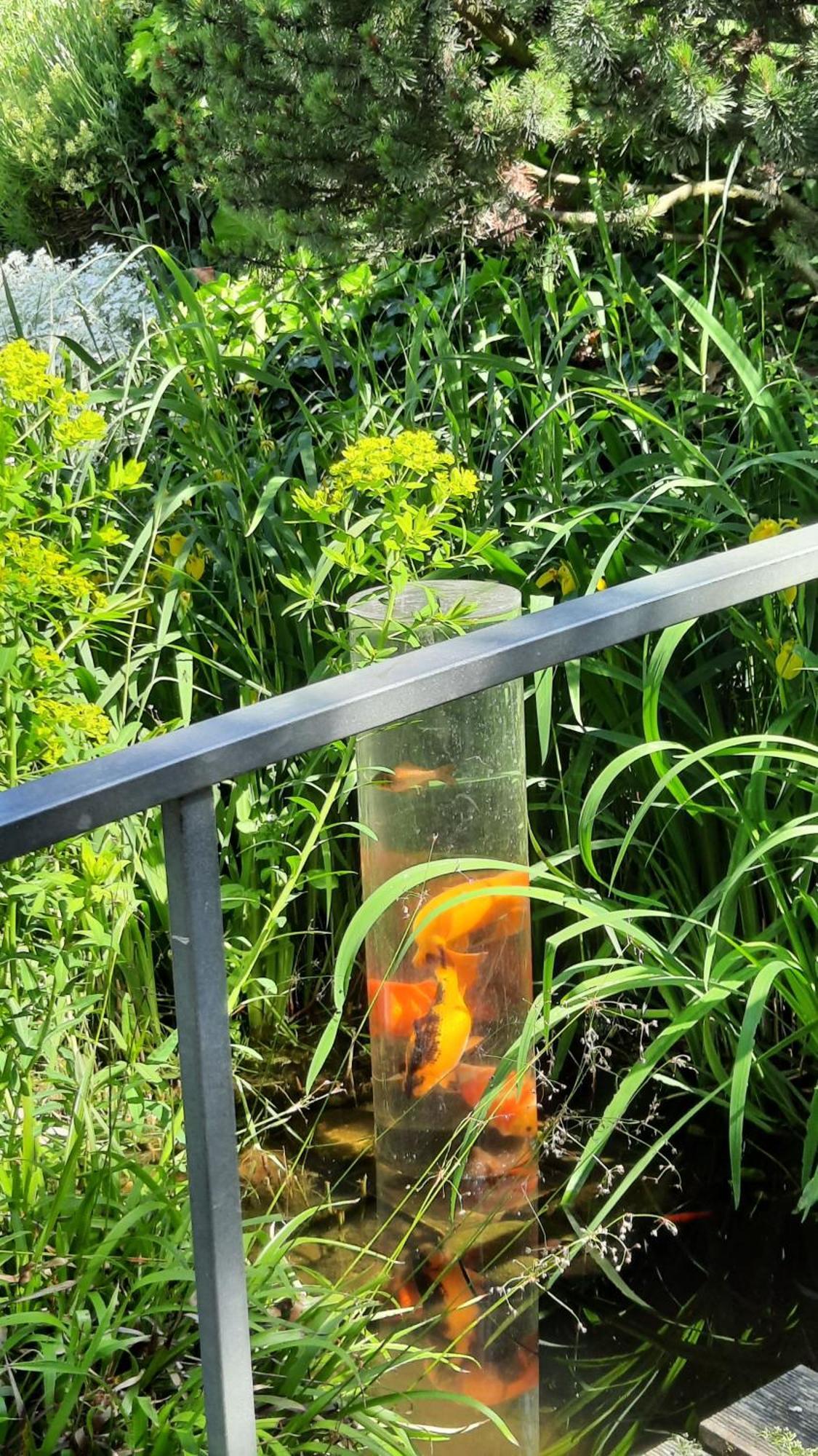 Am Teich Lägenhet Kamp-Bornhofen Exteriör bild